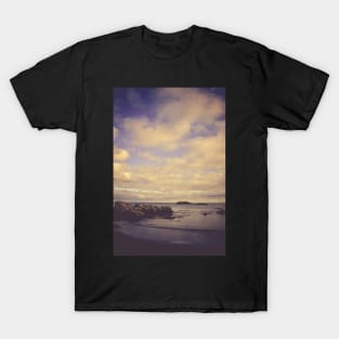 Her Dreams Stretched as Far as the Sea Was Wide T-Shirt